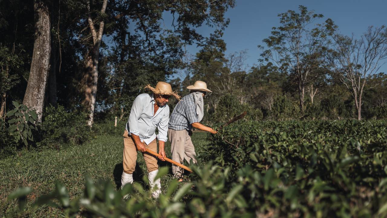 Aposentadoria rural negada o que fazer para reverter - Bento & Mori Advogados