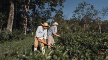 Aposentadoria rural negada o que fazer para reverter - Bento & Mori Advogados