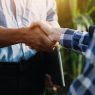Como o escritório Bento & Mori Advogados atua para garantir os direitos do produtor rural - Bento & Mori Advogados