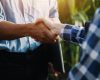 Como o escritório Bento & Mori Advogados atua para garantir os direitos do produtor rural - Bento & Mori Advogados