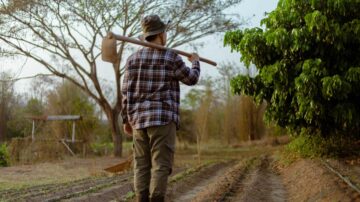 O que pode ser usado como prova de trabalho rural para aposentadoria - Bento & Mori Advogados